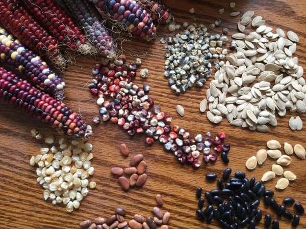 Seed Saving by Kait's Garden