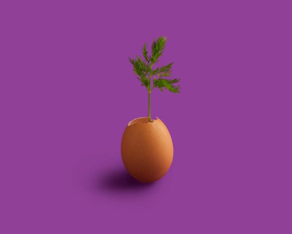Seed in Egg