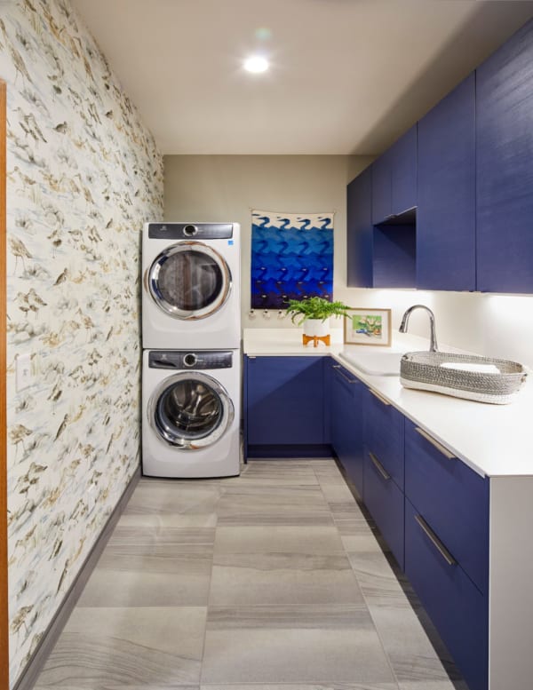 Shou Sugi Ban Laundry Room