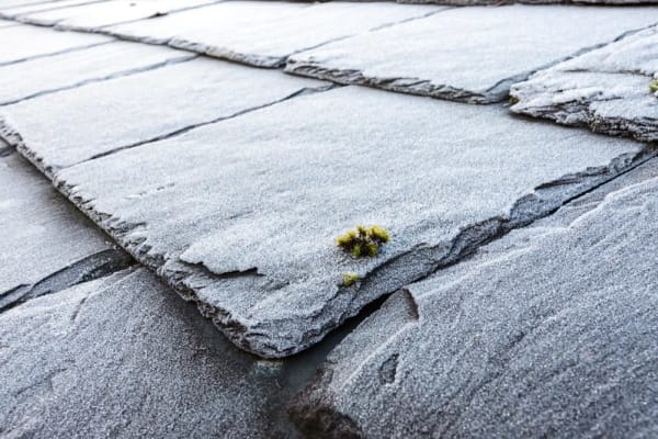 Slate Roof