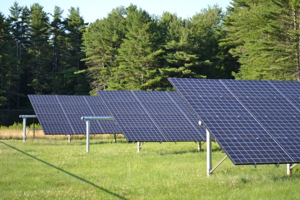 Solar Panels in Field