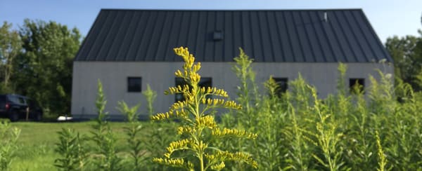 Solsken Ecocor Completed Goldenrod House