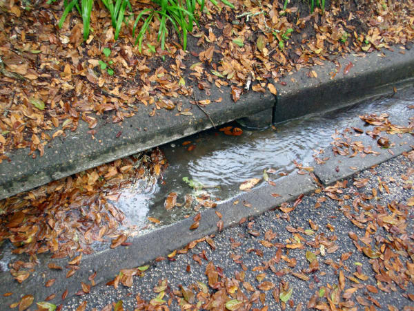 Stormwater Runoff