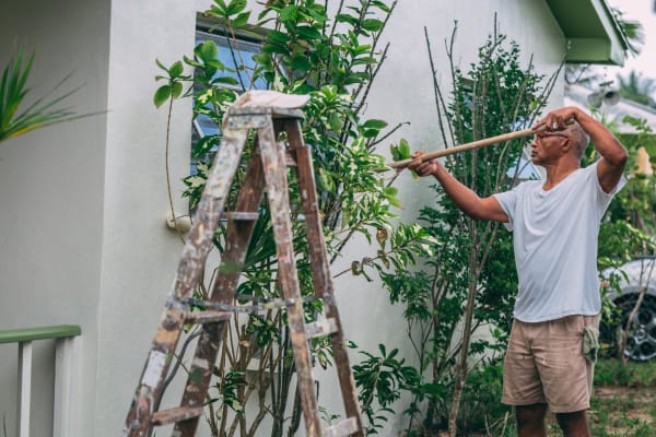 Stucco Work