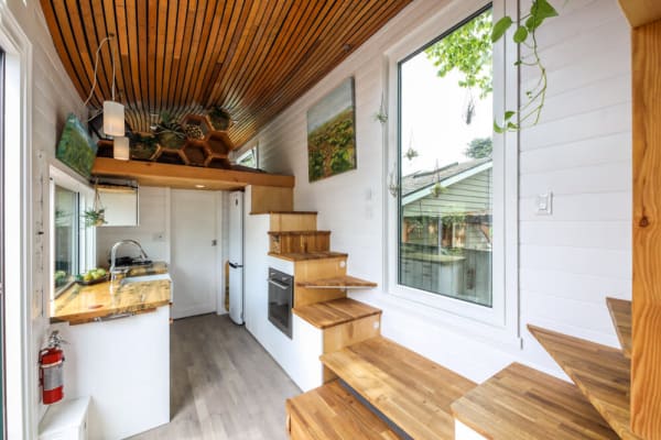 tiny house plants