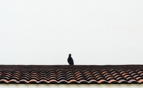 Terra Cotta Roof