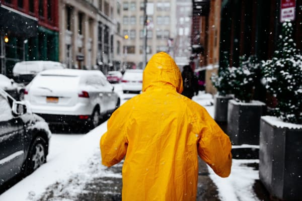 The Best Alternatives to Road Salt and Deicing Agents