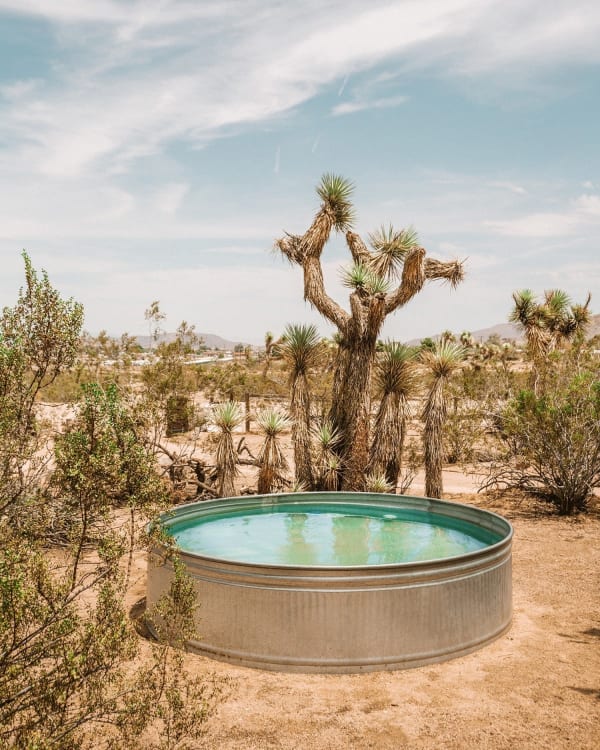 The Joshua Treehouse