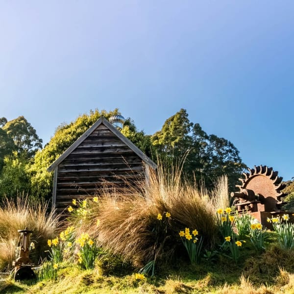 Tin Dragon Cottages