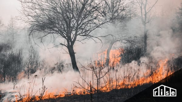 Tips to Protect Your Home From Wildfires