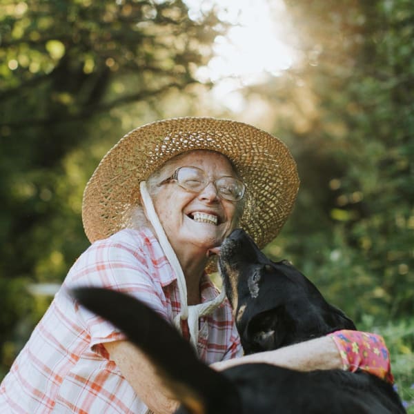 Dog and Senior