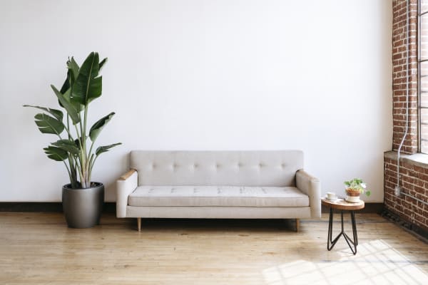 apartment with plants