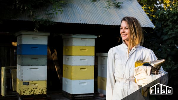 backyard beekeeping