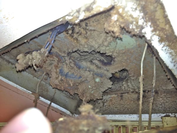 plugged exhaust fan
