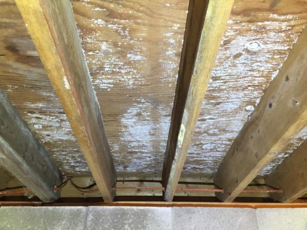 basement floor joists