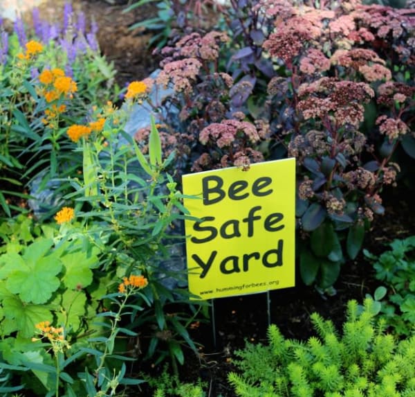 Bee Safe Yard