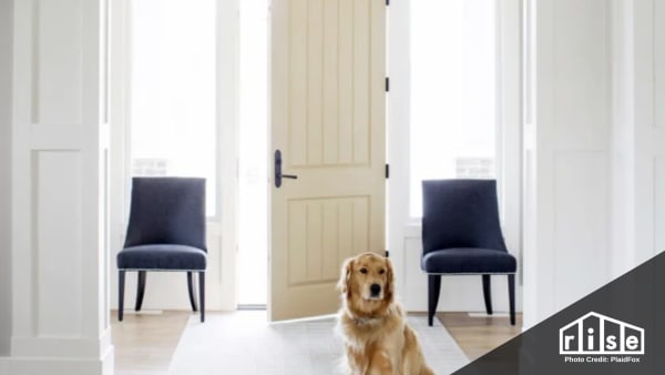 best exterior doors