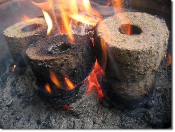 biochar