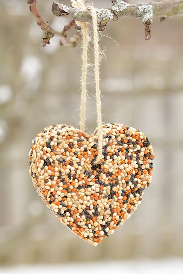birdseed christmas ornaments