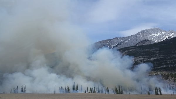 forest fires