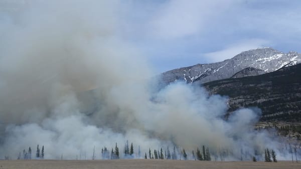 burn forest forest fire