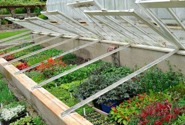 cold frame