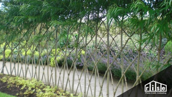 creative permaculture