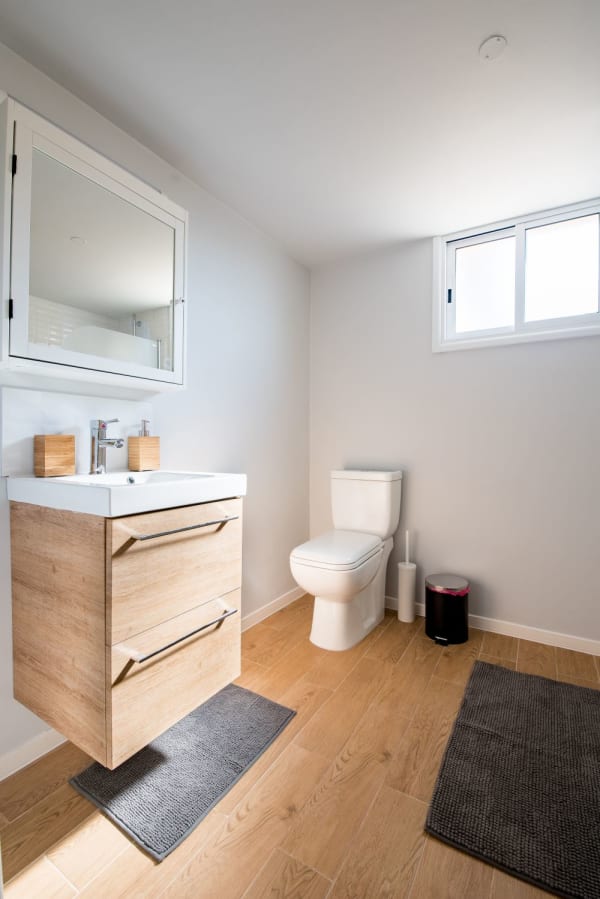 dual flush toilet