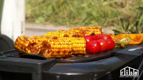 electric bbq grill