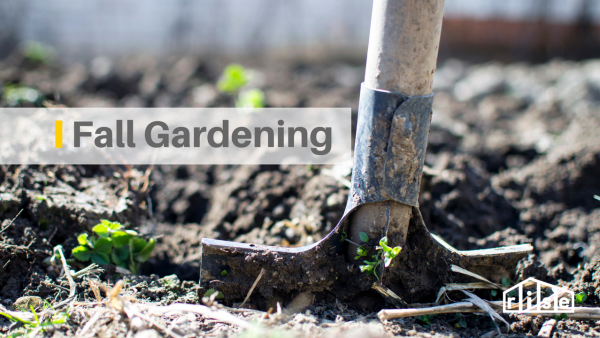 fall gardening