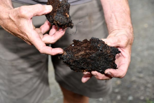 manure biochar