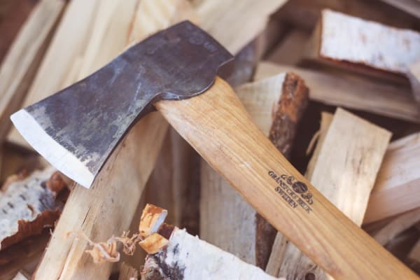 best firewood