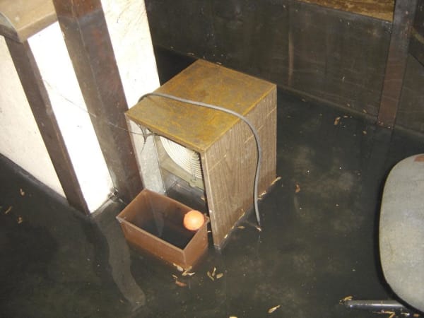 flooded basement