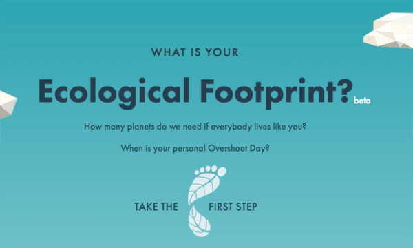 footprint calculator