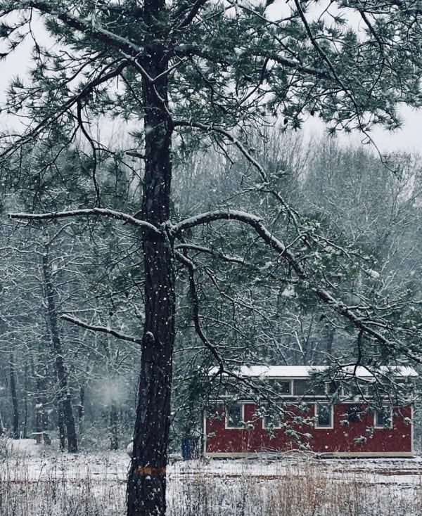 tiny home wainter