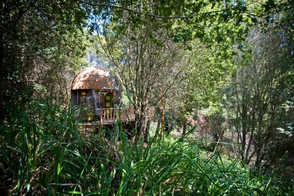 geodesic dome california shot from the forest