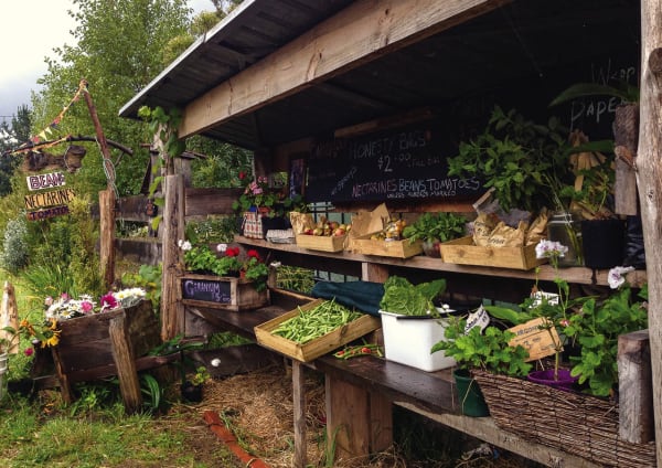 orchard food stand