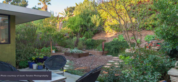 backyard landscaping with mulch