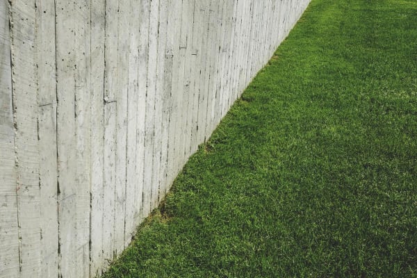 Lawn and Fence