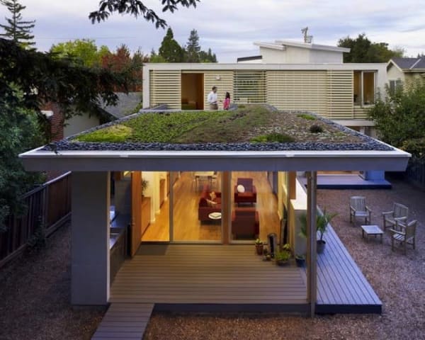 green roof