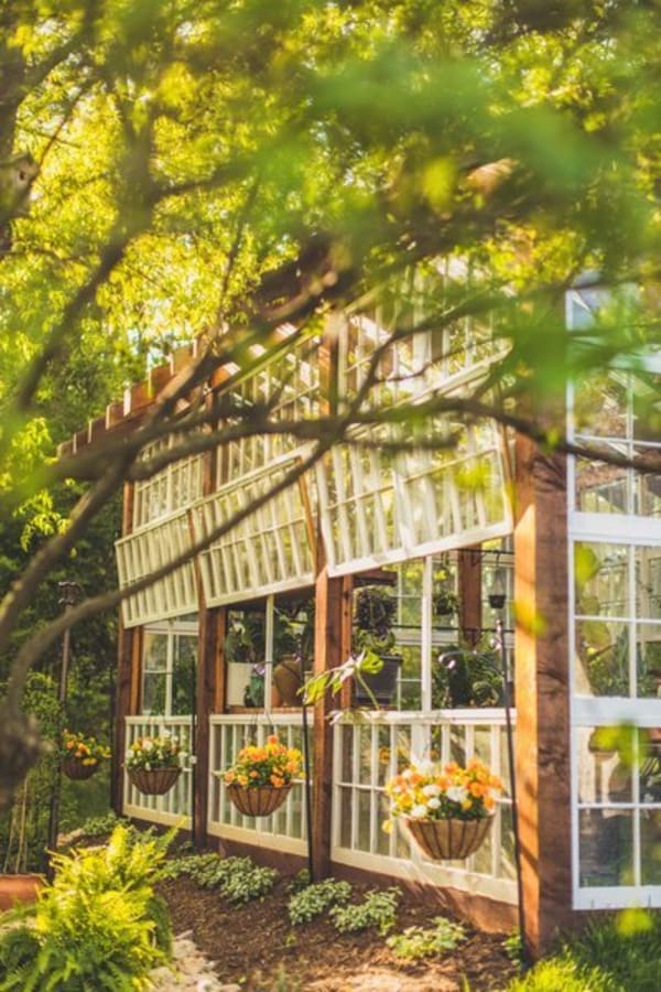 greenhouse windows