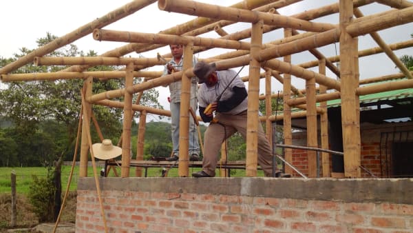 guadua bamboo construction