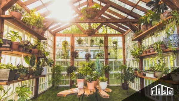 healing greenhouse