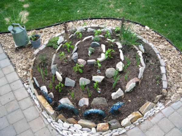 herbs in herb spiral