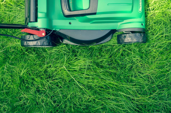 last lawn mow