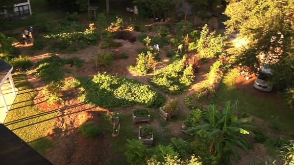 garden ligthing