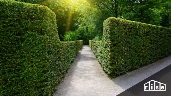 living fence