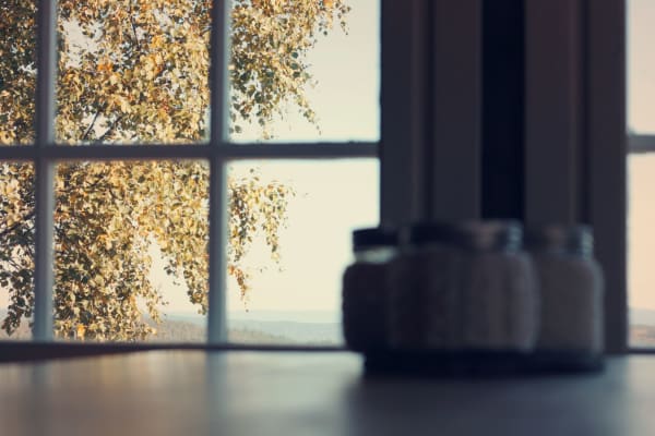 maximize natural light