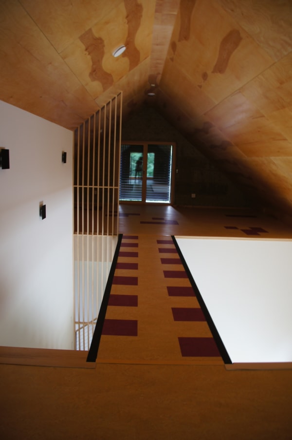 minneapolis passive house ceiling
