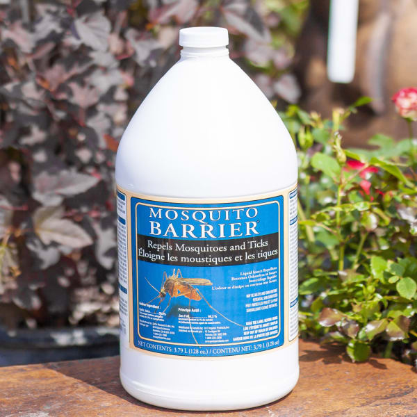 mosquito barrier Dutch Growers